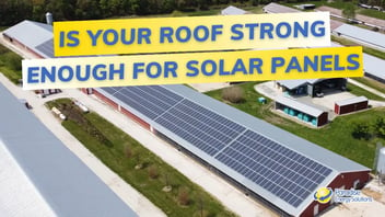 Is it Safe to Install Solar Panels on Your Poultry House Roof?