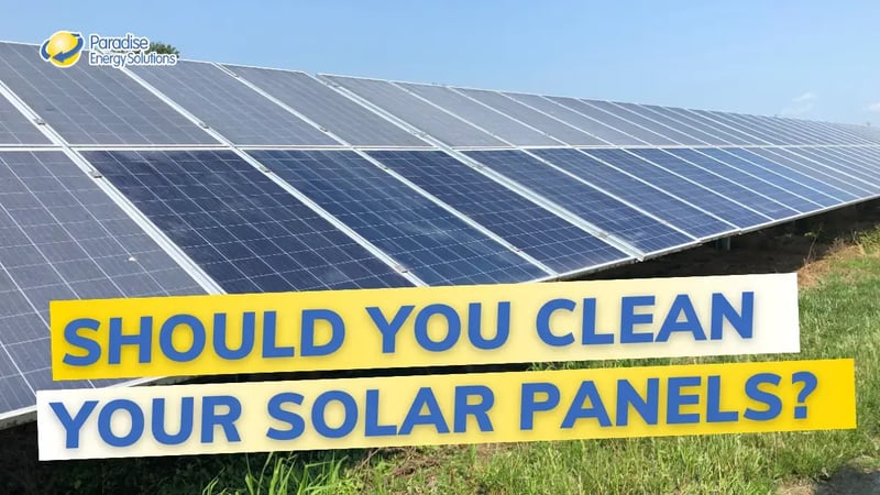 What You Need to Know About Solar Panel Cleaning